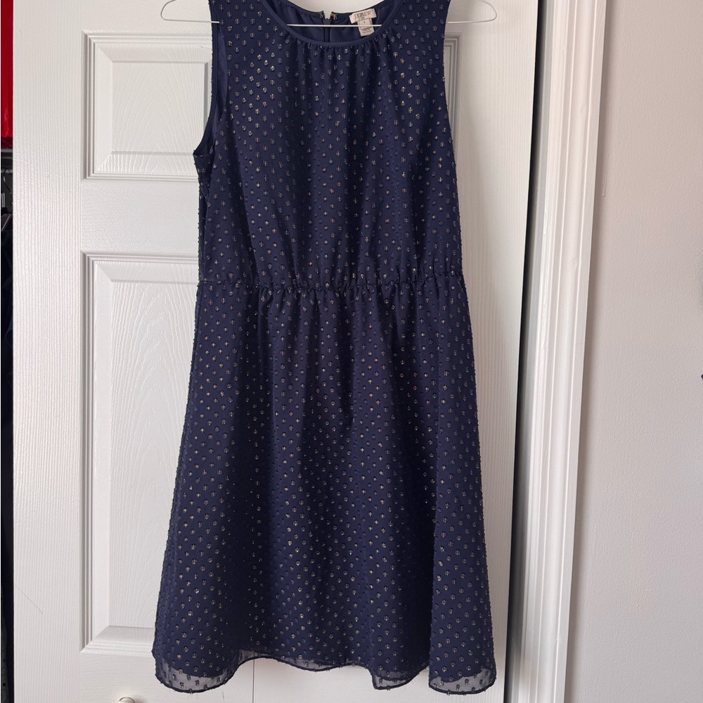 Jcrew polka dot dress